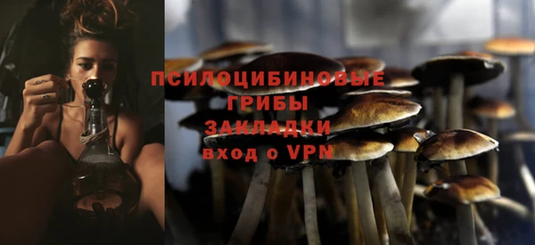 марки lsd Абаза