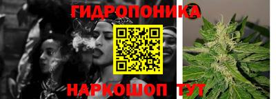 стафф Балаково
